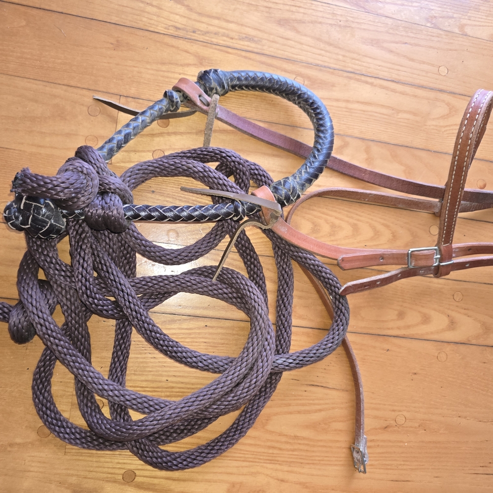 Braided Leather Horse Tack in Brown and Black